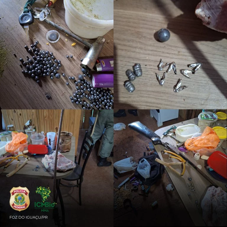 PF e ICMBIO localizam arena de rinha de galo e animais aprisionados com maus tratos