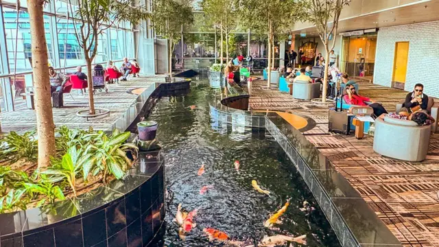Pessoas sentadas em salão de espera do aeroporto Changi, com um tanque de carpas ao centro