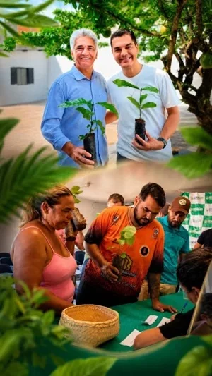 Cafeicultura em Cacoal